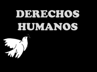 DERECHOS 
HUMANOS 
 