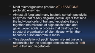 • Most microorganisms produce AT LEAST ONE 
pectolytic enzymes. 
• Almost all fungi and many bacteria contain pectolytic 
enzymes that readily degrade pectin layers that bind 
the individual cells of fruit and vegetable tissue 
together into mixtures of oligosaccharides and 
galacturonic acids, a process that destroys the 
structural organization of plant tissue, which then 
becomes a soft amorphous mass. 
• This degradation of pectin layers in plant tissue is 
responsible for the spoilage process known as “soft 
rot” in fruit and vegetables. 
 