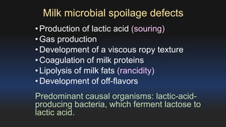 Milk microbial spoilage defects 
• Production of lactic acid (souring) 
• Gas production 
•Development of a viscous ropy texture 
•Coagulation of milk proteins 
• Lipolysis of milk fats (rancidity) 
•Development of off-flavors 
Predominant causal organisms: lactic-acid-producing 
bacteria, which ferment lactose to 
lactic acid. 
 