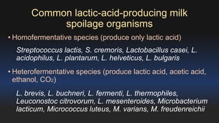 Common lactic-acid-producing milk 
spoilage organisms 
• Homofermentative species (produce only lactic acid) 
Streptococcus lactis, S. cremoris, Lactobacillus casei, L. 
acidophilus, L. plantarum, L. helveticus, L. bulgaris 
• Heterofermentative species (produce lactic acid, acetic acid, 
ethanol, CO2) 
L. brevis, L. buchneri, L. fermenti, L. thermophiles, 
Leuconostoc citrovorum, L. mesenteroides, Microbacterium 
lacticum, Micrococcus luteus, M. varians, M. freudenreichii 
 