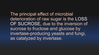 The principal effect of microbial 
deterioration of raw sugar is the LOSS 
OF SUCROSE, due to the inversion of 
sucrose to fructose and glucose by 
invertase-producing yeasts and fungi, 
as catalyzed by invertase. 
 