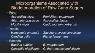 Microorganisms Associated with 
Biodeterioration of Raw Cane Sugars 
• Fungi 
Aspergillus niger Penicillium expansum 
Alternaria brassicae Aspergillus flavus 
Monilla nigra Cladosporium herbarum 
• Yeasts 
Hansenula anomala Saccharomyces cerevisiae 
Candida utilis Pichia fermentans 
• Bacteria 
Bacillus subtilis B. megaterium 
Clostridia nigrificans C. thermosaccharolyticum 
 
