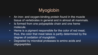 • An iron- and oxygen-binding protein found in the muscle 
tissue of vertebrates in general and in almost all mammals. 
• Is formed from one polypeptide chain and one heme 
molecule. 
• Heme is a pigment responsible for the color of red meat; 
thus, the color that meat takes is partly determined by the 
degree of oxidation of myoglobin. 
• Degraded by microbial proteases to amino acids and 
oligopeptides 
Myoglobin 
 