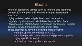 Elastins 
• Found in connective tissues such as tendons and ligaments 
• Contain 90% nonpolar amino acids arranged in a random 
structure 
• Highly resistant to hydrolysis, heat, and maceration 
• Degraded by elastinases, which have been isolated from 
Flavobacterium elastolyticum, Aeromonas salmonicida, Bacillus 
subtilis, Pseudomonas aeruginosa, and P. mallei 
• These elastinases have the following characteristics: 
Have pH optima in the range of 7.0-9.0 
Hydrolyze peptide bonds adjacent to glycine and proline 
Highly specific for elastin 
Inhibited by diisopropylfluorophosphate 
 