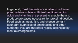 In general, most bacteria are unable to colonize 
pure proteins unless sufficient peptides, amino 
acids and vitamins are present to enable them to 
produce proteases necessary for protein digestion. 
Food such as meat, fish, and cheese contain 
abundant quantities of amino acids and other 
nutrients; they are therefore readily colonized by 
most microorganisms. 
 