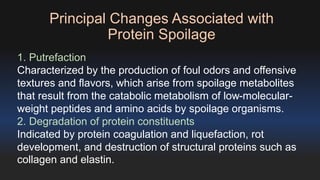 Principal Changes Associated with 
Protein Spoilage 
1. Putrefaction 
Characterized by the production of foul odors and offensive 
textures and flavors, which arise from spoilage metabolites 
that result from the catabolic metabolism of low-molecular-weight 
peptides and amino acids by spoilage organisms. 
2. Degradation of protein constituents 
Indicated by protein coagulation and liquefaction, rot 
development, and destruction of structural proteins such as 
collagen and elastin. 
 