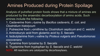 Amines Produced during Protein Spoilage 
Analysis of putrefied protein foods shows that a mixture of amines are 
produced by the anaerobic decarboxylation of amino acids. Such 
amines include the following: 
1. Cadaverine from L-lysine by Bacillus cadaveris, E. coli, and 
Clostridium histolycum 
2. Putrescine from L-ornithine by Clostridium septicum and C. welchii 
3. Aminoburyic acid from glutamic acid by S. faecalis 
4. Isobutylamine from L-valine by Proteus vulgaris and Pseudomonas 
cocovenans 
5. Tyramine from tyrosine by S. faecalis 
6. Tryptamine from tryptophan by S. faecalis and C. welchii 
NOTE: All reactions are catalyzed by decarboxylases. 
 