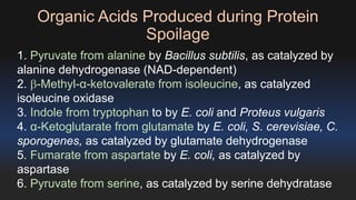 Organic Acids Produced during Protein 
Spoilage 
1. Pyruvate from alanine by Bacillus subtilis, as catalyzed by 
alanine dehydrogenase (NAD-dependent) 
2. -Methyl-α-ketovalerate from isoleucine, as catalyzed 
isoleucine oxidase 
3. Indole from tryptophan to by E. coli and Proteus vulgaris 
4. α-Ketoglutarate from glutamate by E. coli, S. cerevisiae, C. 
sporogenes, as catalyzed by glutamate dehydrogenase 
5. Fumarate from aspartate by E. coli, as catalyzed by 
aspartase 
6. Pyruvate from serine, as catalyzed by serine dehydratase 
 