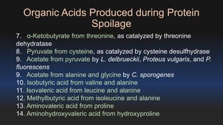 Organic Acids Produced during Protein 
Spoilage 
7. α-Ketobutyrate from threonine, as catalyzed by threonine 
dehydratase 
8. Pyruvate from cysteine, as catalyzed by cysteine desulfhydrase 
9. Acetate from pyruvate by L. delbrueckii, Proteus vulgaris, and P. 
fluorescens 
9. Acetate from alanine and glycine by C. sporogenes 
10. Isobutyric acid from valine and alanine 
11. Isovaleric acid from leucine and alanine 
12. Methylbutyric acid from isoleucine and alanine 
13. Aminovaleric acid from proline 
14. Aminohydroxyvaleric acid from hydroxyproline 
 