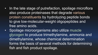 • In the late stage of putrefaction, spoilage microflora 
also produce proteinases that degrade various 
protein constituents by hydrolyzing peptide bonds 
to give low-molecular-weight oligopeptides and 
free amino acids. 
• Spoilage microorganisms also utilize muscle 
glycogen to produce trimethylamine, ammonia and 
dimethylamine, whose chemical determination 
forms the basis of several methods for determining 
fish and fish product spoilage. 
 