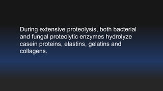 During extensive proteolysis, both bacterial 
and fungal proteolytic enzymes hydrolyze 
casein proteins, elastins, gelatins and 
collagens. 
 