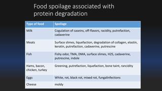 Food spoilage associated with 
protein degradation 
Type of food Spoilage 
Milk Cogulation of caseins, off-flavors, racidity, putrefaction, 
cadaverine 
Meats Surface slimes, liquefaction, degradation of collagen, elastin, 
keratin, putrefaction, cadaverine, putrescine 
Fish Fishy odor, TMA, DMA, surface slimes, H2S, cadaverine, 
putrescine, indole 
Hams, bacon, 
chicken, turkey 
Greening, putrefaction, liquefaction, bone taint, rancidity 
Eggs White, rot, black rot, mixed rot, fungalinfections 
Cheese moldy 
 