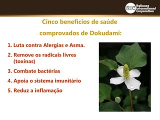 1. Luta contra Alergias e Asma.
2. Remove os radicais livres
(toxinas)
3. Combate bactérias
4. Apoia o sistema imunitário
5. Reduz a inflamação
Cinco benefícios de saúde
comprovados de Dokudami:
 