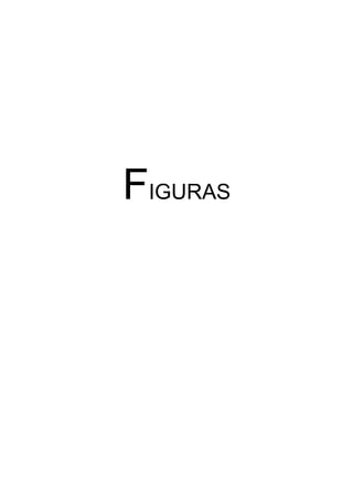 FIGURAS
 