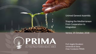 PRIMA AWP 2019
Unimed General Assembly
Shaping the Mediterranean
From Cooperation to
Integration
Venice, 25 October, 2018
Prof. Angelo Riccaboni
Università di Siena
Chair, Fundacion PRIMA
 