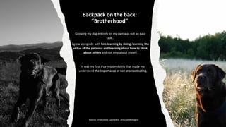 Backpack on the back:
“Brotherhood”
Growing my dog entirely on my own was not an easy
task...
I grew alongside with him learning by doing, learning the
virtue of the patience and learning about how to think
about others and not only about myself.
It was my first true responsibility that made me
understand the importance of not procrastinating.
Rocco, chocolate Labrador, around Bologna
 