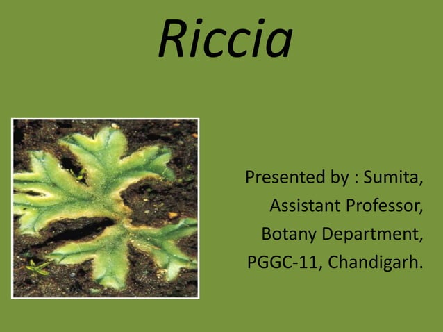 Riccia ppt | PPTX