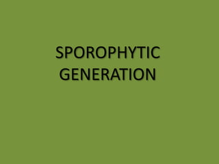 SPOROPHYTIC
GENERATION
 
