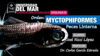 MYCTOPHIFORMES
UNIVERSIDAD
DEL MAR
Joel Ricci López
Dr. Carlos García Estrada
 