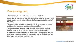 rice-1114pptfc.pptx