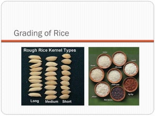 Grading of Rice 
 