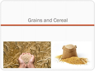 Grains and Cereal 
 