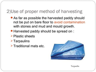 2)Use of proper method of harvesting 
As far as possible the harvested paddy should 
not be put on bare floor to avoid contamination 
with stones and mud and mould growth. 
Harvested paddy should be spread on : 
Plastic sheets 
Tarpaulins 
Traditional mats etc. 
Tarpaulin 
 
