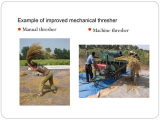 Example of improved mechanical thresher 
Manual thresher Machine thresher 
 