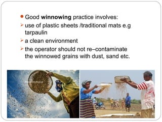 Good winnowing practice involves: 
use of plastic sheets /traditional mats e.g 
tarpaulin 
a clean environment 
the operator should not re–contaminate 
the winnowed grains with dust, sand etc. 
 