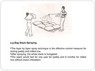 e.g Bag Stack Spraying 
The layer by layer spray technique is the effective control measure for 
storing paddy and milled rice. 
After spraying, the whole stack is fumigated. 
The stack would last for one year for paddy and 6 months for milled 
rice without insect infestation. 
 