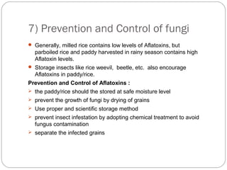 7) Prevention and Control of fungi 
 Generally, milled rice contains low levels of Aflatoxins, but 
parboiled rice and paddy harvested in rainy season contains high 
Aflatoxin levels. 
 Storage insects like rice weevil, beetle, etc. also encourage 
Aflatoxins in paddy/rice. 
Prevention and Control of Aflatoxins : 
 the paddy/rice should the stored at safe moisture level 
 prevent the growth of fungi by drying of grains 
 Use proper and scientific storage method 
 prevent insect infestation by adopting chemical treatment to avoid 
fungus contamination 
 separate the infected grains 
 