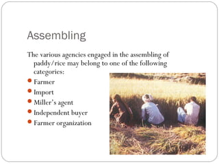 Assembling 
The various agencies engaged in the assembling of 
paddy/rice may belong to one of the following 
categories: 
Farmer 
Import 
Miller’s agent 
Independent buyer 
Farmer organization 
 