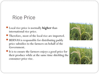 Rice Price 
Local rice price is normally higher than 
international rice price. 
Therefore, most of the local rice are imported. 
BERNAS is responsible for distributing paddy 
price subsidies to the farmers on behalf of the 
Government. 
It is to ensure the farmers enjoys a good price for 
their produce while at the same time shielding the 
consumer price rise. 
 