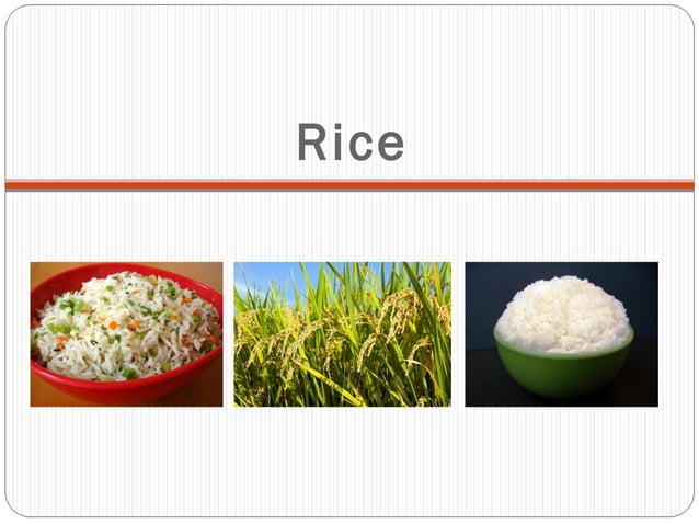 Rice.pptx | Agriculture | Industries
