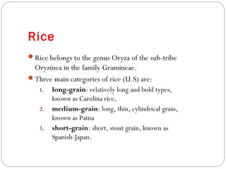 Rice 
Rice belongs to the genus Oryza of the sub-tribe 
Oryzinea in the family Gramineae. 
Three main categories of rice (U.S) are: 
1. long-grain: relatively long and bold types, 
known as Carolina rice, 
2. medium-grain: long, thin, cylindrical grain, 
known as Patna 
3. short-grain: short, stout grain, known as 
Spanish-Japan. 
 