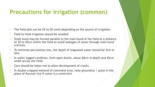 Precautions for irrigation (common)
• The field plot can be 25 to 50 cents depending on the source of irrigation.
• Field to field irrigation should be avoided.
• Small bund may be formed parallel to the main bund of the field at a distance
of 30 to 45cm within the field to avoid leakages of water through main bund
crevices.
• To minimize percolation loss, the depth of stagnated water should be 5cm or
less.
• In water logged condition, form open drains, about 60cm in depth and 45cm
width across the field.
• Care should be taken not to allow development of cracks.
• In double cropped wetland of command area, raise groundnut / pulse in the
place of Kuruvai rice if water is a constraint
 