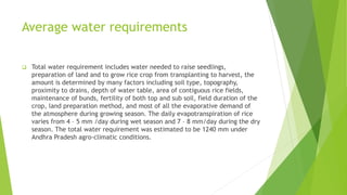 Average water requirements
 Total water requirement includes water needed to raise seedlings,
preparation of land and to grow rice crop from transplanting to harvest, the
amount is determined by many factors including soil type, topography,
proximity to drains, depth of water table, area of contiguous rice fields,
maintenance of bunds, fertility of both top and sub soil, field duration of the
crop, land preparation method, and most of all the evaporative demand of
the atmosphere during growing season. The daily evapotranspiration of rice
varies from 4 – 5 mm /day during wet season and 7 – 8 mm/day during the dry
season. The total water requirement was estimated to be 1240 mm under
Andhra Pradesh agro-climatic conditions.
 