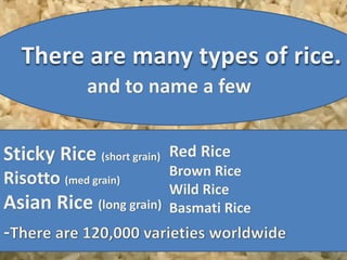 Normal Rice Name Rice | PPTX