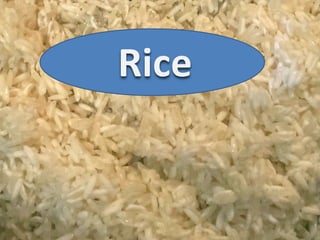 Rice
 