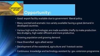 RICE FARMING - SWOT ANALYSIS | PPTX