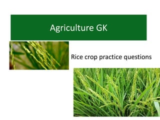 Rice crop practice questions
Agriculture GK
 