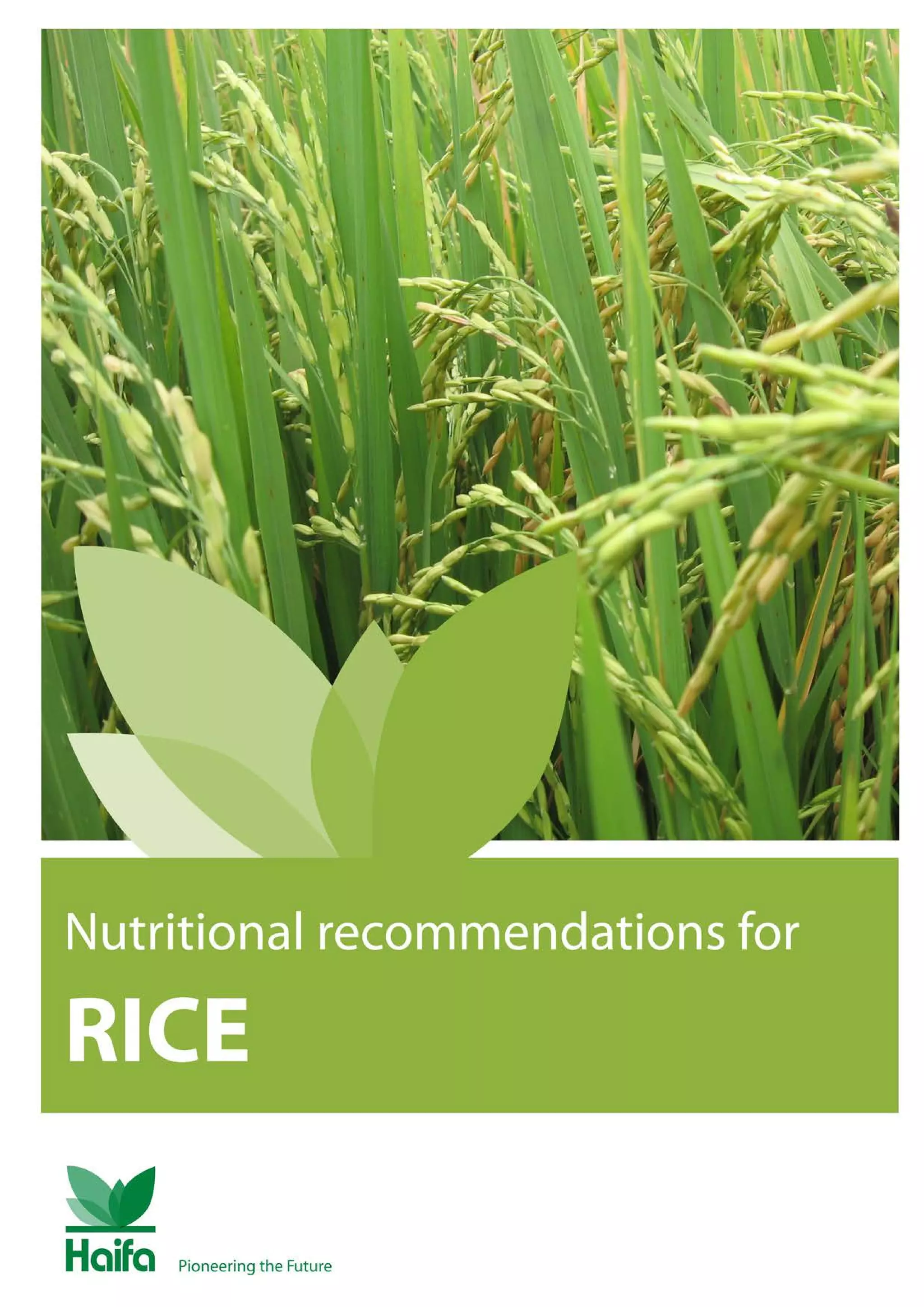 Rice Crop Guide Rice Fertilizer PDF