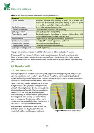 Rice Crop Guide - Rice Fertilizer | PDF