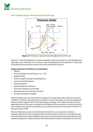 Potassium Deficiency In Rice Rice Crop Guide - Rice Fertilizer | PDF