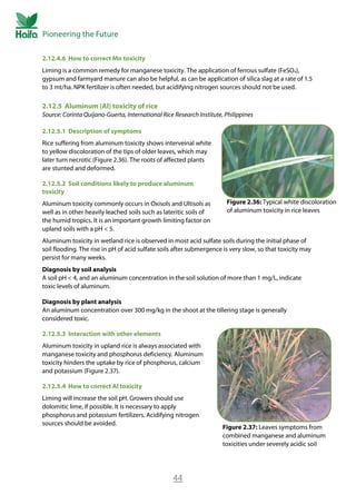 Acidify Rice Rice Crop Guide - Rice Fertilizer | PDF