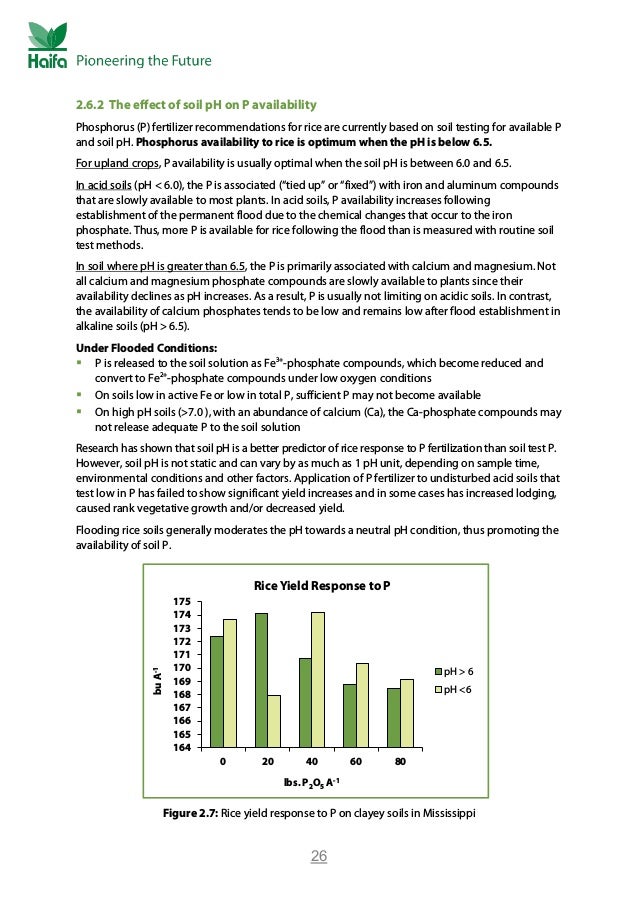 Rice Crop Guide Rice Fertilizer