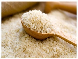 Rice | PPTX