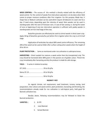 Rice | PDF