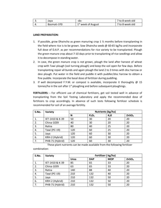 Rice | PDF