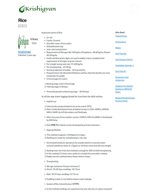 Rice | PDF